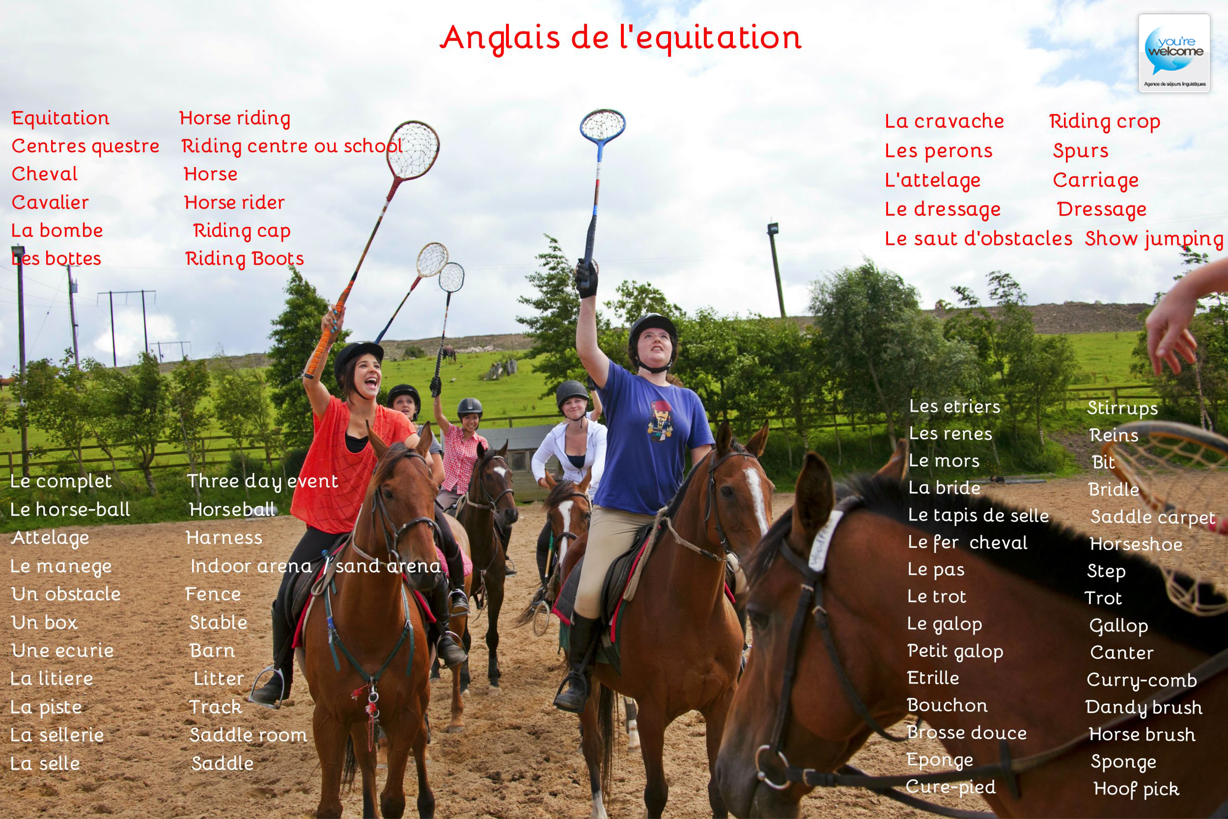 Anglais et équitation en Irlande - Séjour linguistique