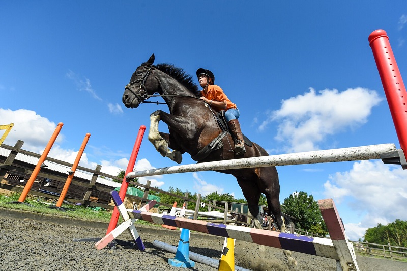 Cours équitation en Angleterre saut d'obstacle