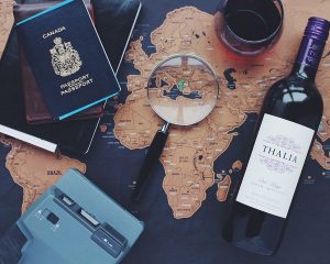 voyage linguistique carte loupe passeport